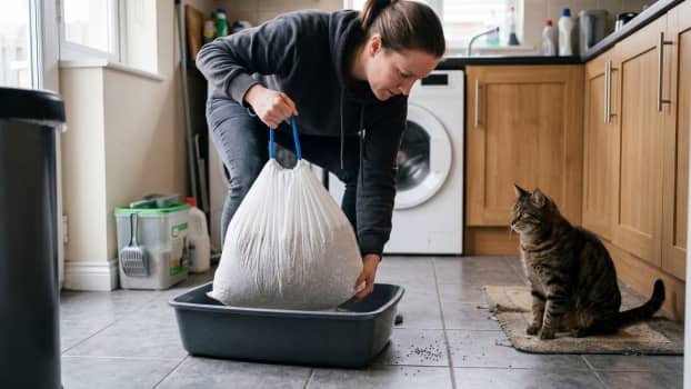 person lifting litter box liner with drawstring while cat watches nearby