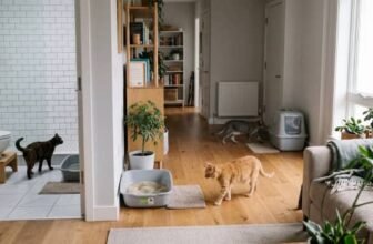 three cats with litter boxes placed in separate areas of a home