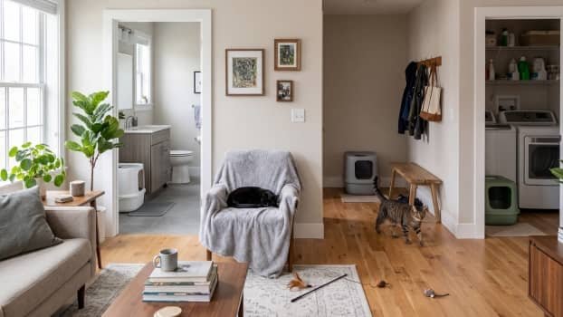 litter boxes placed in different areas of a home for multiple cats