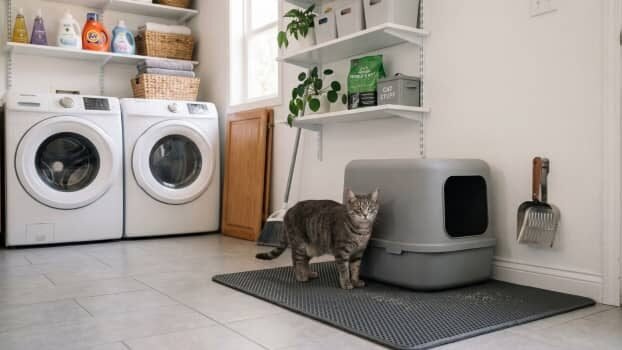 clean litter box setup in laundry room with mat scoop and storage