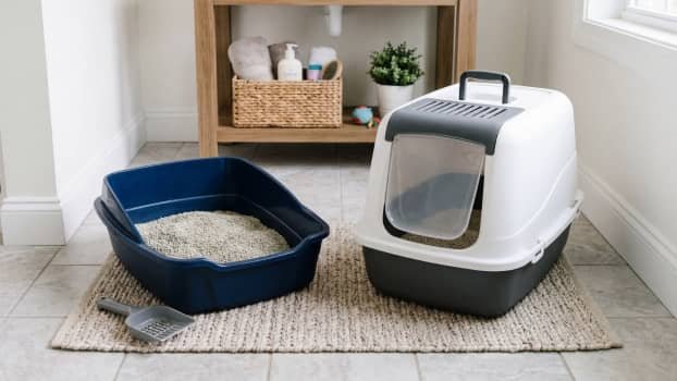 open litter box next to a closed hooded litter box