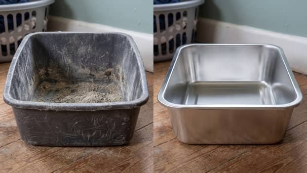 plastic vs stainless steel cat litter box comparison showing odor buildup and clean metal surface
