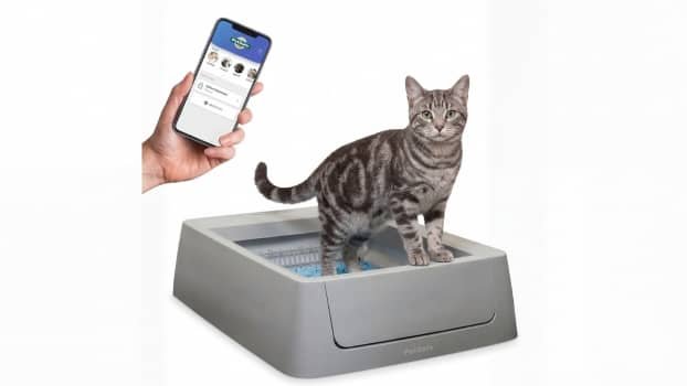 Scoop Free Smart Self Cleaning Litter Box with App Tracking pet safe scoop free crystal smart self cleaning litter box with app tracking and black and white cat using litter box