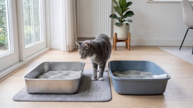 stainless steel and plastic litter box comparison