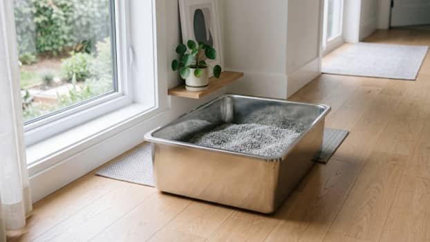 high sided stainless steel litter box for cats