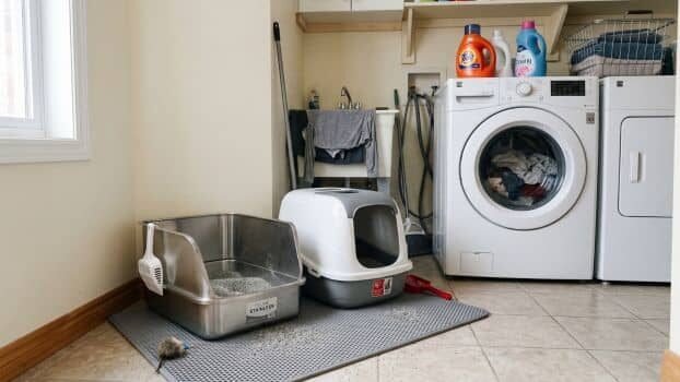 are stainless steel litter boxes better than plastic ones comparison