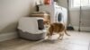 clay cat litter tracking mess around litter box in laundry room
