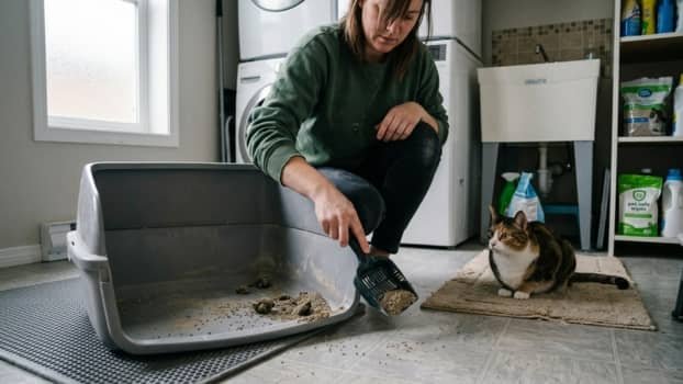 Person scraping stuck litter from the bottom of a litter box using a scoop