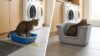 cat peeing over edge of litter box vs high wall litter box preventing mess