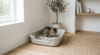 litter box for kittens with low entry tray in a quiet home corner