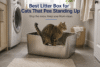 cat using high sided stainless steel litter box in clean laundry room for cats that pee standing up