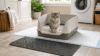 best litter box for senior cats setup with low entry litter box, cat, pee pads and mat in a clean laundry room