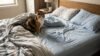 cat peeing on bed problem in bedroom