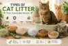 types of cat litter pros and cons comparison with cats and different litter types