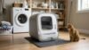 How to get your cat to use an automatic litter box with a cat sitting next to a self-cleaning litter box in a laundry room