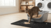 Adult tabby cat stepping out of a large open high-sided litter box