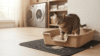 Brown tabby cat using a disposable cardboard litter box