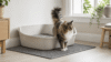 Best litter box for long-haired cats with a fluffy long-haired cat beside a large litter box