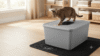 Tabby cat standing on a top entry litter box with a grooved litter-catching lid