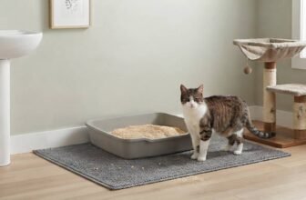 Best wood cat litter in an open litter box beside a cat