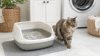 Dr. Elsey's Respiratory Relief cat litter review with a cat beside a litter box in a laundry room