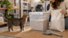 Does cat litter expire hero image showing cat litter being stored in a sealed container in a realistic laundry room with cats.