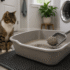 Pellet Cat Litter: What It Is and How It Compares