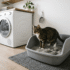 Best Automatic Litter Box (What Actually Works)