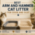 Arm and Hammer vs Tidy Cats Litter: Which One Is Better?