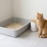 Best Cat Litter Disposal System: What Actually Works (and What Doesn’t)