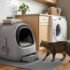 DIY Litter Box Enclosure: Ideas, IKEA Hacks, and What Actually Works