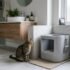 Bentonite Clay Cat Litter: What It’s Really Like After a Few Weeks
