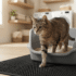 Ökocat Cat Litter Review: Which Formula Is Best?