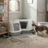 Best Cat Litter for Multiple Cats: 6 Top Picks for Busy Litter Boxes