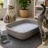 PetSafe Crystal Cat Litter: Which Variant Should You Buy