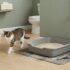 Best Natural Cat Litter: 6 Top Picks Across Every Type
