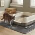 Best Flushable Cat Litter: 6 Picks for Easier Cleanup