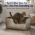 Best Litter Box for Senior Cats (Low Entry, High Back & Mobility-Friendly Options)