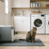 Best Litter Box for Cats That Pee Standing Up