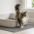 Best Wood Cat Litter: Clumping and Pellet Options Compared