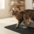 Best Disposable Cat Litter Box: Top Picks for Travel, Recovery, and Easy Cleanup