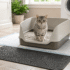 Best Arm and Hammer Cat Litter for Odor, Dust, and Easy Cleaning