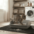 Wheat Cat Litter: What It Is, How It Works, and Who Should Use It