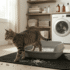 Best Cat Litter for Kittens: Safe Picks for Every Age