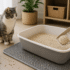 pidan Tofu Cat Litter Review: Which Version Should You Buy?