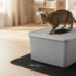 Best Cat Litter Box: Top Picks for Every Cat and Setup