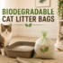 Types of Cat Litter: Pros and Cons Compared