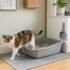 Best Cat Litter Mat: 6 Picks to Stop Litter Tracking