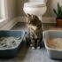 Dr. Elsey’s Crystal Cat Litter Review