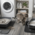 Non-Clumping Cat Litter: What It Is and Who Should Use It